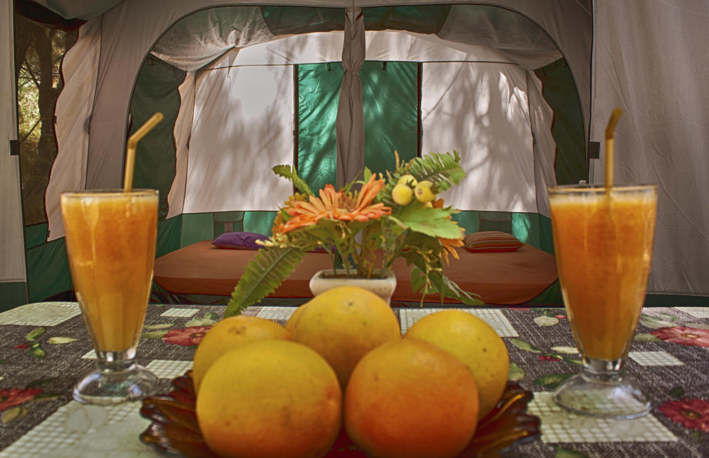Camping Nopigia Kissamos Room photo